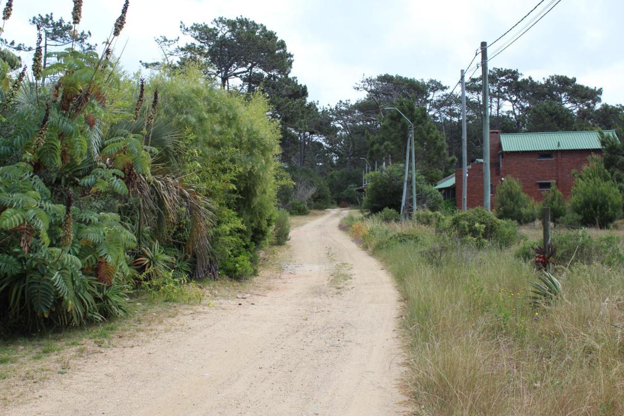La Paloma Containers Suites Bagian luar foto